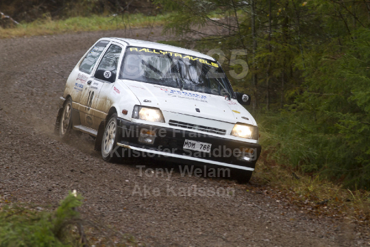 Marknadsnatta 2010