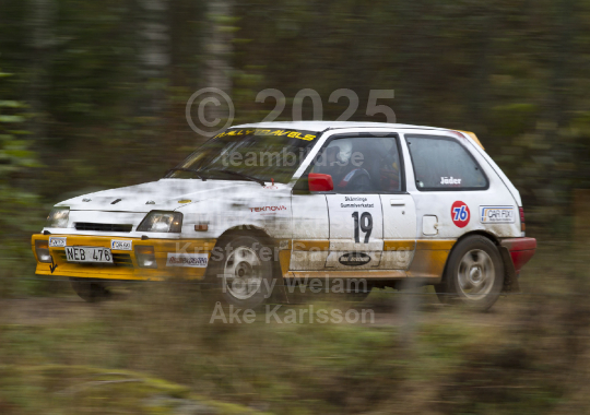 Marknadsnatta 2010