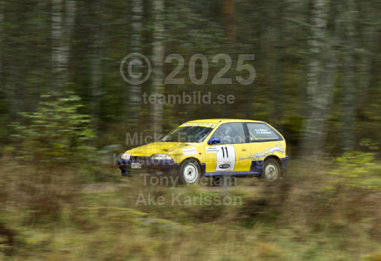 Marknadsnatta 2010