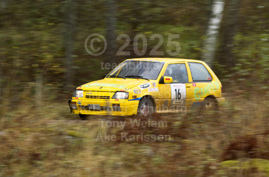Marknadsnatta 2010