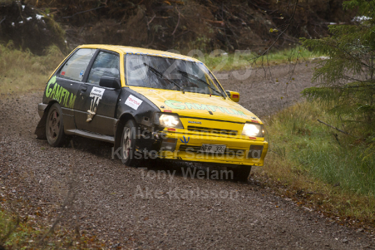 Marknadsnatta 2010
