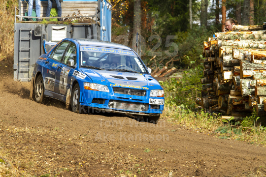 Marknadsnatta 2013