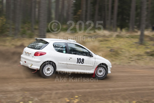 Novemberskölden 2015