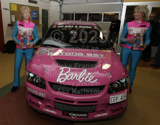 Rally-SM Svenska Rallyt 2010