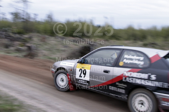 South Swedish Rally 2010