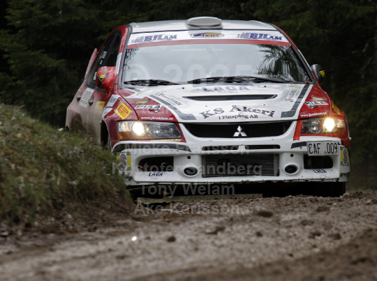 South Swedish Rally 2010