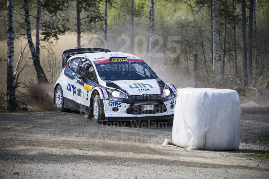 South Swedish Rally 2013