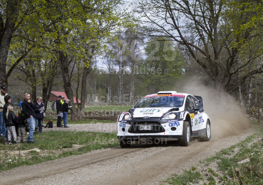 South Swedish Rally 2013
