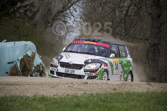 South Swedish Rally 2013