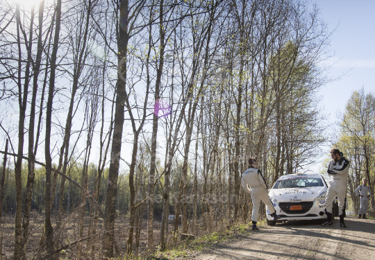 South Swedish Rally 2016