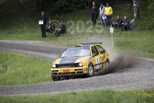 Violenrallyt Flen 2016