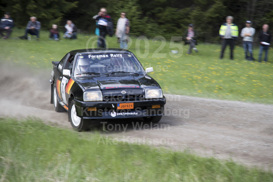 Violenrallyt Flen 2016