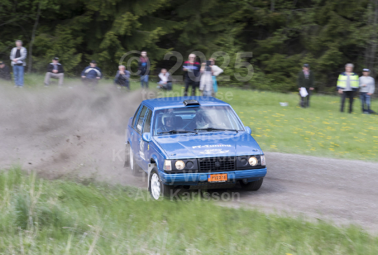 Violenrallyt Flen 2016