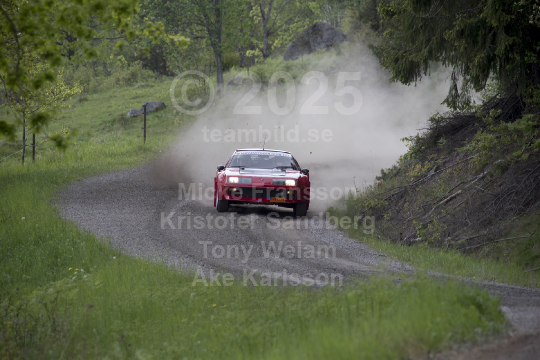 Violenrallyt Flen 2016