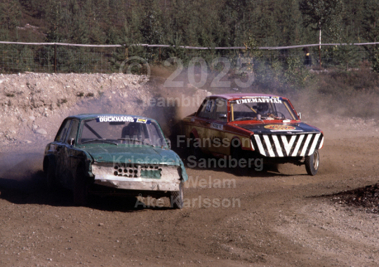 Volvocupen 1981
