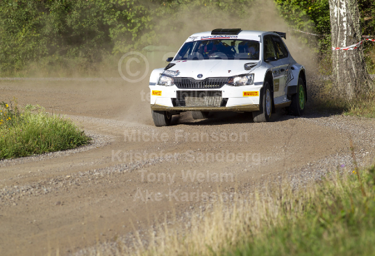 East Sweden Rally 2020