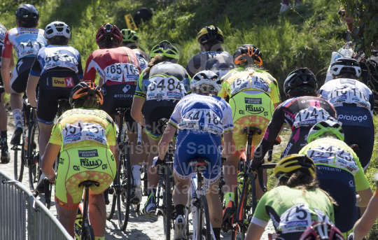 Ronde van Vlaanderen 2016