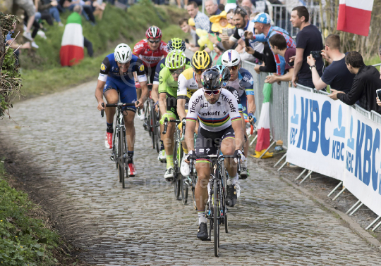 Ronde van Vlaanderen 2016