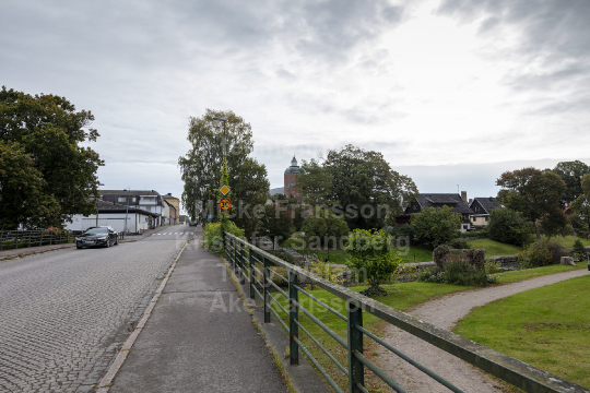 Skänningebilder 2021