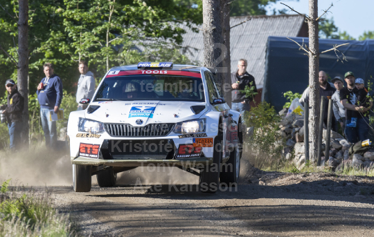 South Swedish Rally 2019