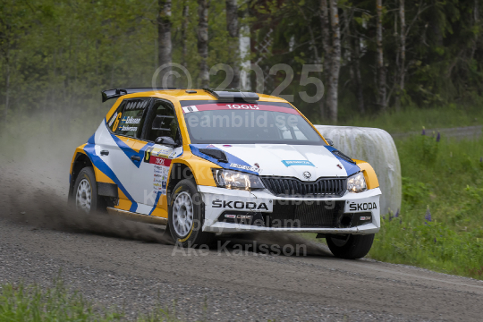 South Swedish Rally 2019