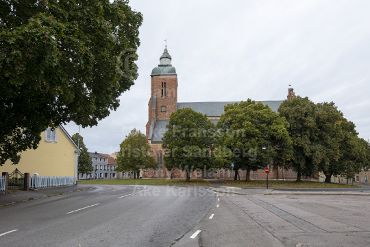 Skänningebilder 2021