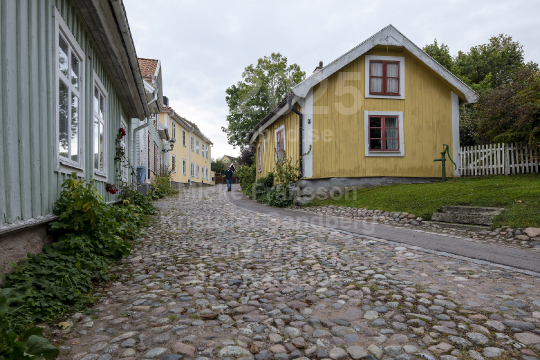 Skänningebilder 2021