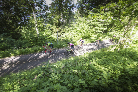 Halvvättern 2013