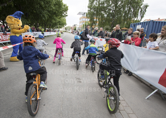 Minivättern 2016