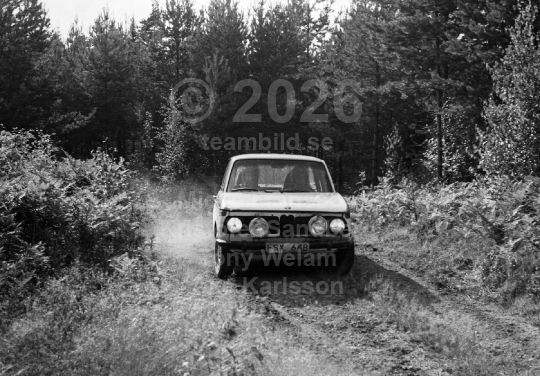 Rally 1981