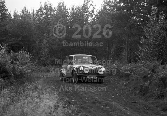 Rally 1981