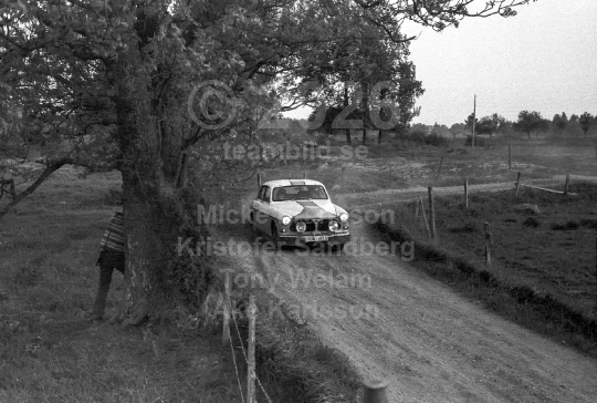 Rally 1981