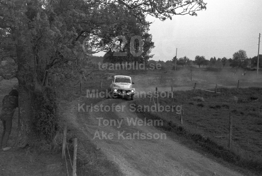 Rally 1981