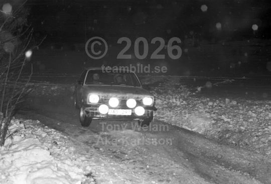 Rally 1981
