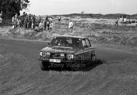 Rally 1982