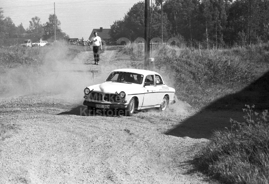 Rally 1982