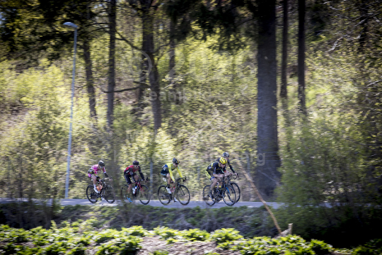 Scandinavian Race 2017