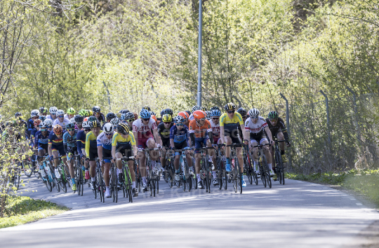 Scandinavian Race 2017