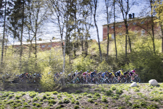 Scandinavian Race 2017
