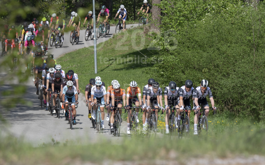 Scandinavian Race 2018