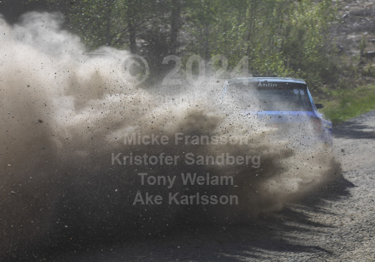 South Swedish rally 2023