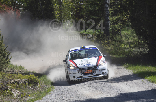 South Swedish rally 2023