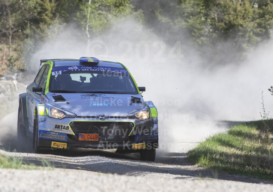 South Swedish rally 2023