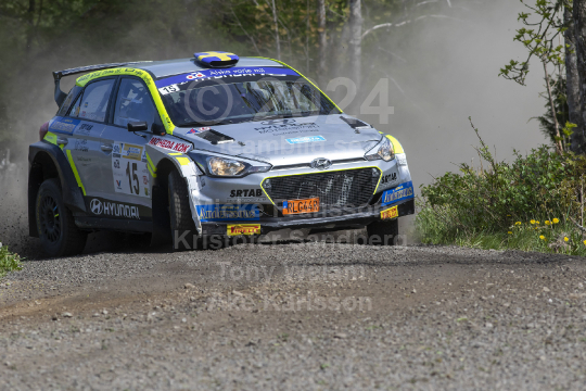 South Swedish rally 2023