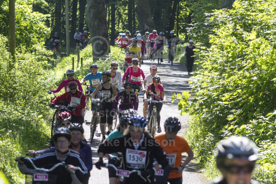 Tjejvättern 2013
