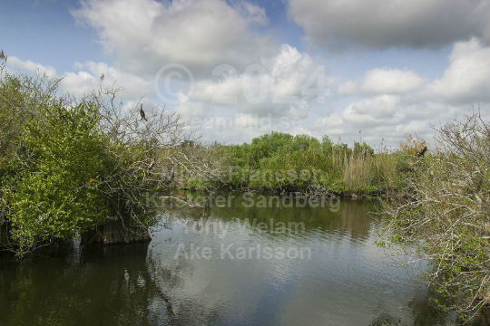 Everglades nationalpark