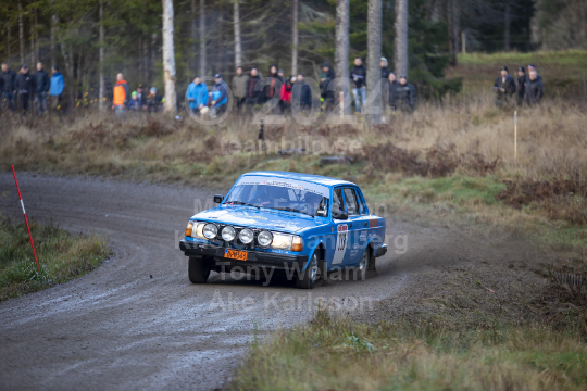 Novemberskölden 2021