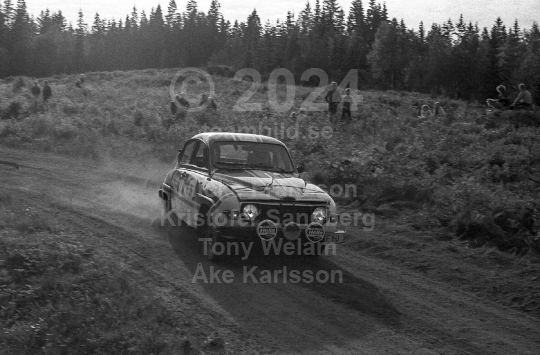 Rally 1981