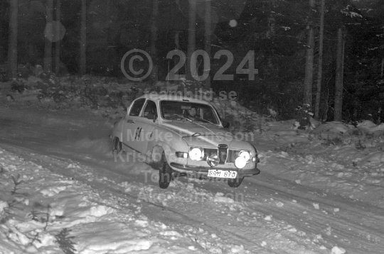 Rally 1981