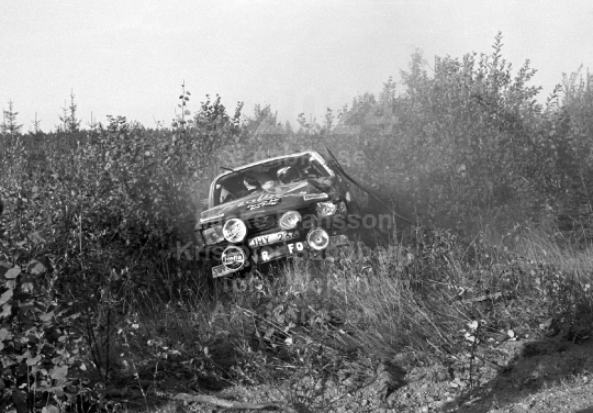 Rally 1982